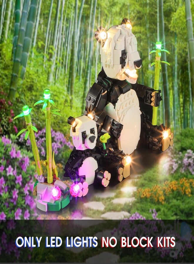 Vaodest مصباح LED من Vaodest لمجموعة Lego Wild Animals Panda Family 31165، تصميم وتكوين متوافق مع الموديل 31165 (مصباح LED فقط، وليس مجموعة مكعبات البناء). - Image 2